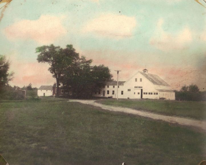 Old Farmstead Photo